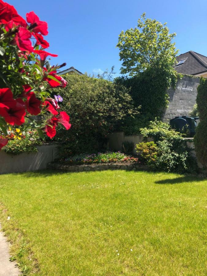 Amber Heights Bed & Breakfast Galway Luaran gambar
