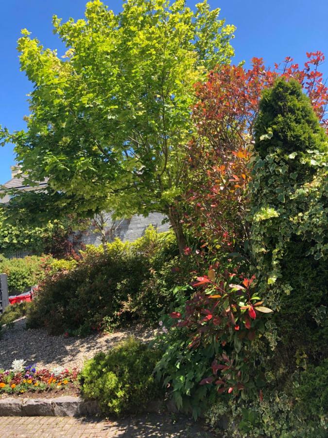 Amber Heights Bed & Breakfast Galway Luaran gambar
