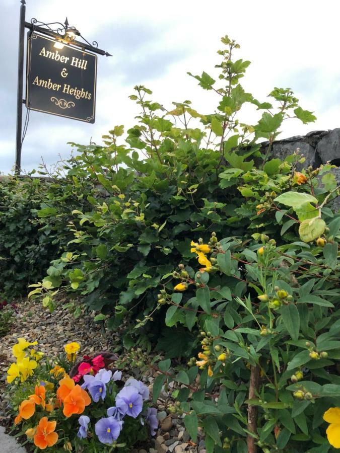 Amber Heights Bed & Breakfast Galway Luaran gambar
